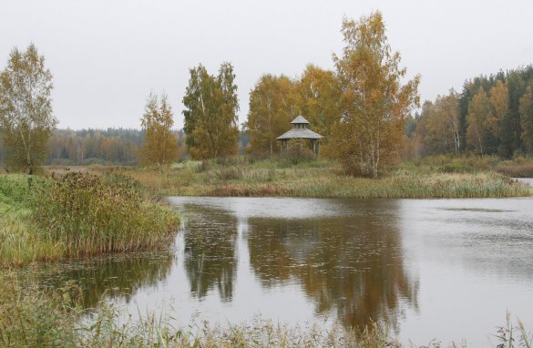 В Истринском районе создадут охраняемый водный объект